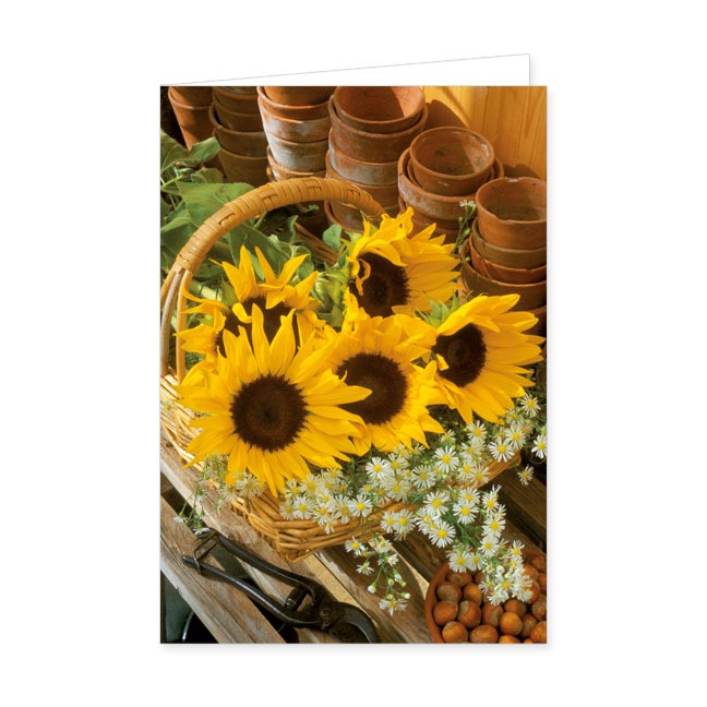 Doppelkarten Sonnenblumenkorb- Rannenberg &amp; Friends - Doppelkarte Klappkarte mit Umschlag, Maße: