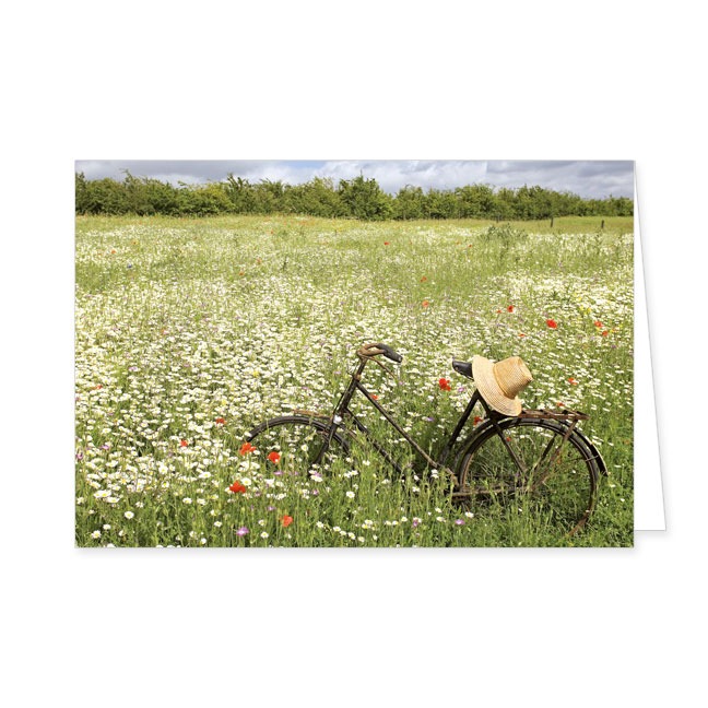 Doppelkarten Fahrrad in Wildblumenwiese- Rannenberg & Friends - Doppelkarte Klappkarte mit