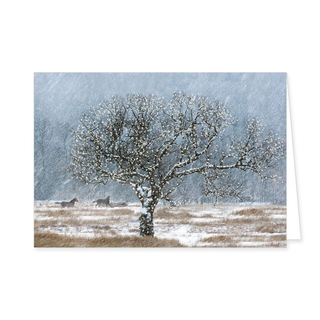 Doppelkarte Übers Schnee bedeckte Feld- Rannenberg & Friends - Doppelkarte Klappkarte mit