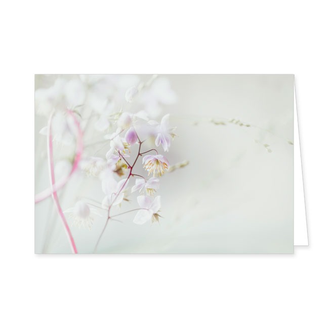 Doppelkarte Kleine Blüten- Rannenberg & Friends - Doppelkarte Klappkarte mit Umschlag Maße: 125