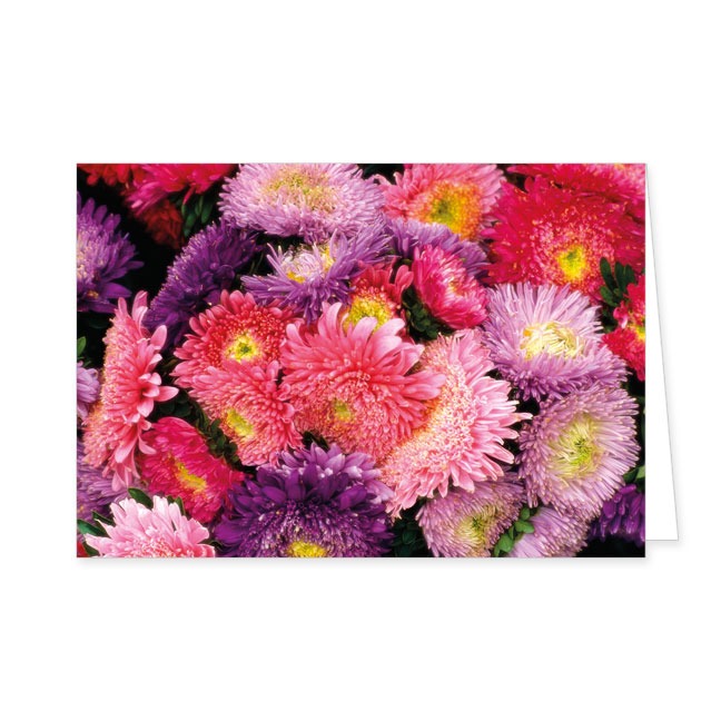 Doppelkarte Blütenpracht - Rannenberg & Friends - Doppelkarte Klappkarte mit Umschlag Maße: 125