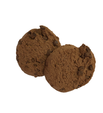 Bio Cookies mit Zartbitterschokolade