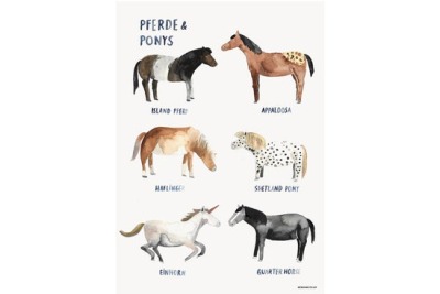 Poster Pferde & Ponys Gretas Schwester