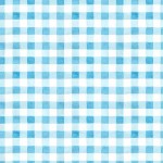 0,25m BW Michael Miller Picnic by the Lake Summer Gingham Karo , weiß pink 6