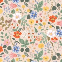 0,25m Baumwolle Strawberry Fields by Rifle Paper &amp; Co Erdbeeren, zartes mint bunt 3