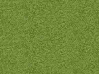 0,5m BW Emerald Isle Grass Wiese, grün