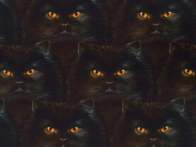0,5m BW Whiskers &amp; Tails by Andrew Farley Cat Katzen, schwarz braun