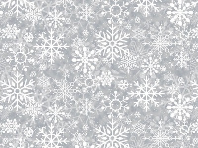 0,25m Baumwolle Welcome Winter Schneeflocke Stern Snowflake , grau weiß - Welcome Winter by Barb