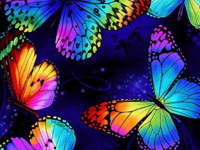 0,25m Baumwolle Timeless Treasures Multi Butterfly Magic Schmetterling rainbow, bunt navy
