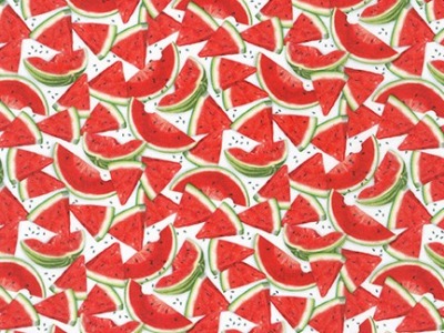 0,25m BW Watermelon by Mary Lake - Thompson Chow Time, Wassermelone, rot weiß grün - kleine Motive