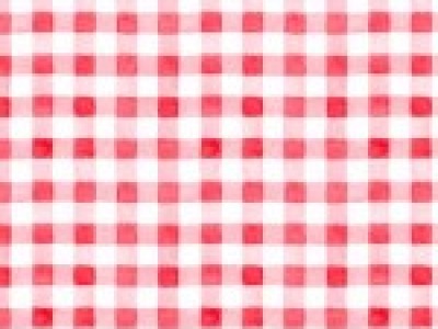 0,25m BW Michael Miller Picnic by the Lake Summer Gingham Karo , weiß pink - Picnic by the Lake by