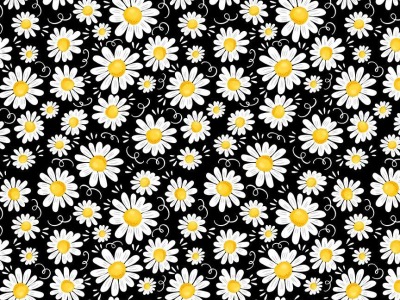 0,25m Baumwolle Timeless Treasures Margeriten Blumen, schwarz weiß gelb