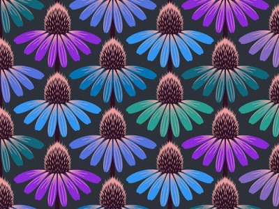 Echinacea Glow - Amethyst Love Always - Love Always by Anna Maria by Free Spirit Fabrics