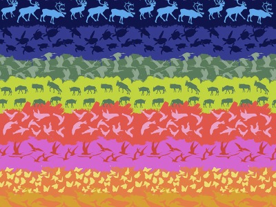 1m Baumwolle Migration On The Move - Multi Tiere Klein, Regenbogen rainbow bunt - Lorraine Turner