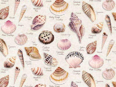 0,25m Baumwolle Seashell WishesShells Muscheln mit Name , ecru bunt - Seashell Wishes by Diane