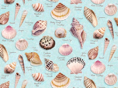 0,25m Baumwolle Seashell WishesShells Muscheln mit Name , türkis bunt - Seashell Wishes by Diane