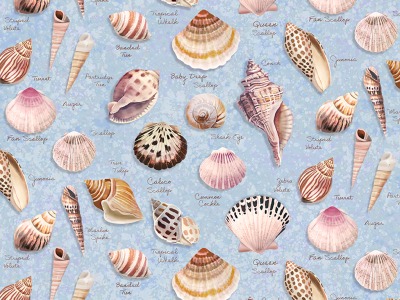 0,25m Baumwolle Seashell Wishes Shells Muscheln mit Name , blau bunt - Seashell Wishes by Diane