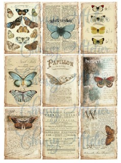 Motivbogen A4 mit 9 Bügelbildern Schmetterling - A4 Motivbogen DIY Shabby Vintage Bügelbild