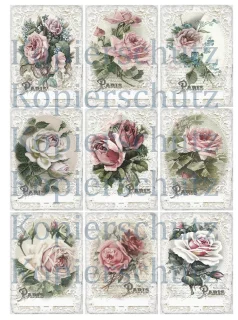 Bügelbild Rose Motivbogen A4 mit 9 Bügelbildern Weiß Rosa - A4 Motivbogen DIY Shabby Vintage