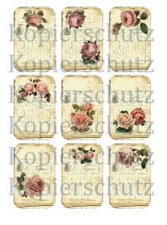 Bügelbild Rose Motivbogen A4 mit 9 Bügelbildern Beige Rosa - A4 Motivbogen DIY Shabby Vintage