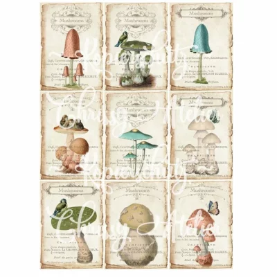 Papier - Aufkleber / Etiketten Pilze Herbst Naturfarben - Shabby Vintage Motive , selbstklebend ,