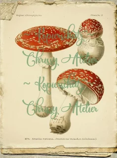 Bügelbild Pilze Rot Beige Herbst Bügeltransfer - Wahlweise A4 A5 A6 - DIY Shabby / Vintage Pilz