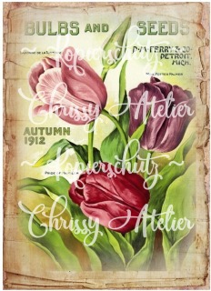 Bügelbild Tulpen Frühling Bügeltransfer - Wahlweise A4 A5 A6 - DIY Shabby / Vintage