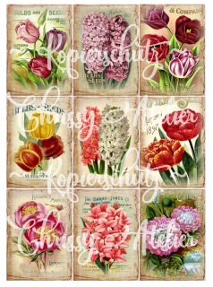 Motivbogen A4 mit 9 Bügelbildern Tulpen Hyazinthe Frühling - A4 Motivbogen DIY Shabby Vintage