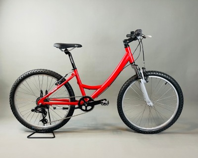 Kinderbike - TYPE N 24 | Easy Rider - Individuelles Design | Körpergröße ab 120 cm