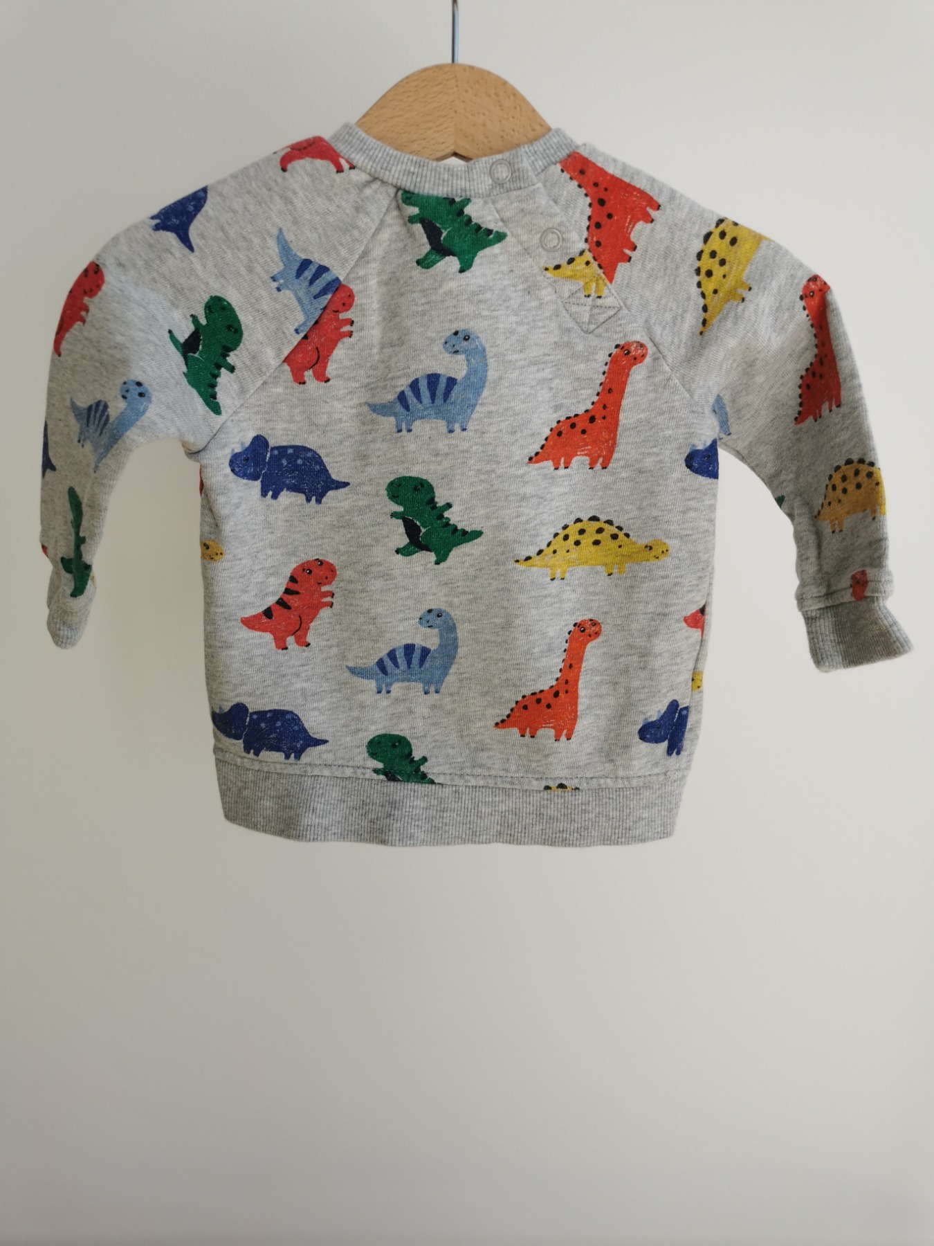 Sweatshirt Dinosaurier - Größe 74 3