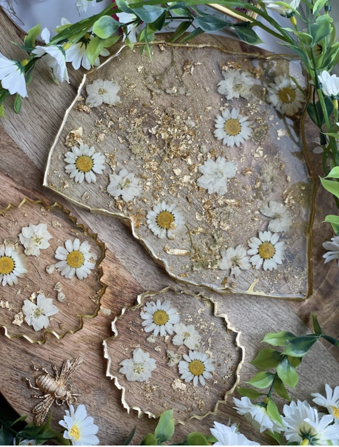 Untersetzer Gänseblümchen margareten