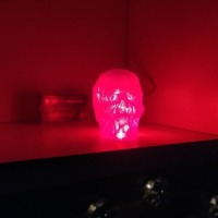 Totenkopf Plektrum halter Pleks Halter 7 Steckplätze LED Beleuchtet 6