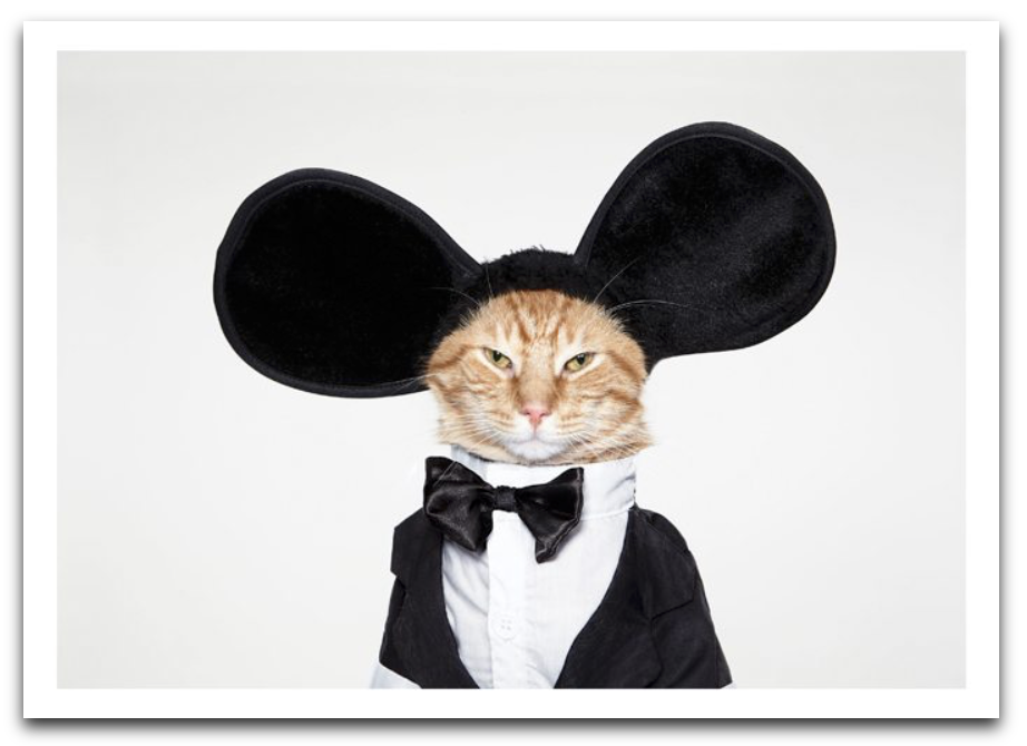 Cat Mouse Ears Card