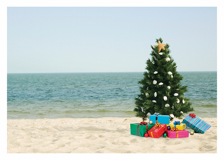 Trees &amp; Gifts On Beach Card