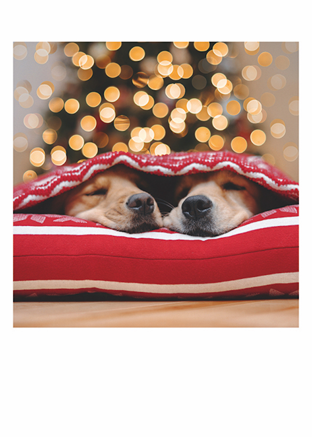 Two Dogs Xmas Lights Card