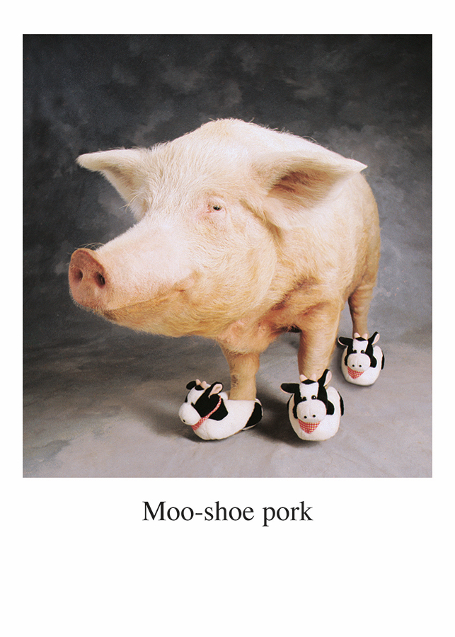 Moe Shoe Card