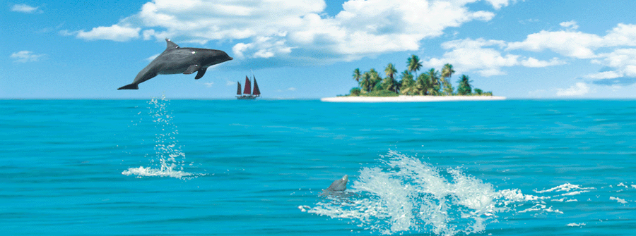 Dolphins - Motion Bookmark
