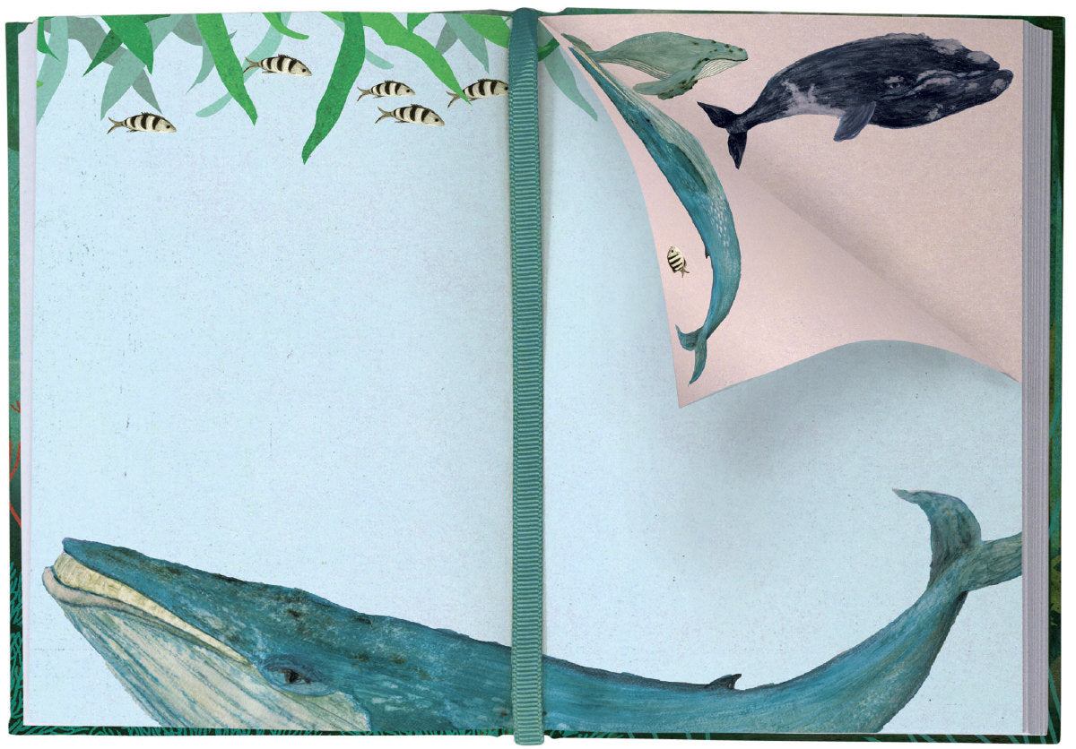 Whale Song Illustrated Journal 3