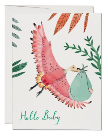 Bird with Baby Suit Card
