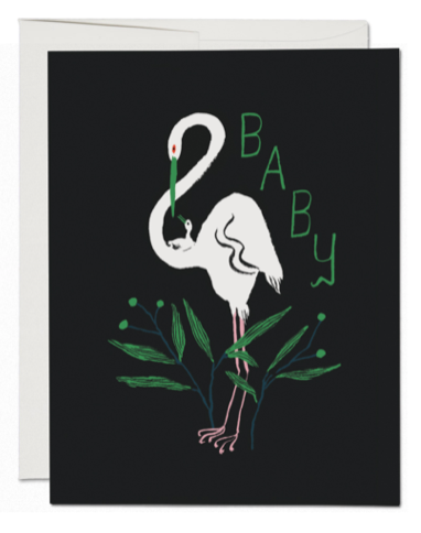 Egrets Card