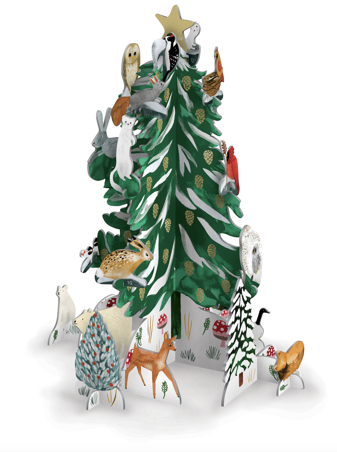 Christmas Conifer Pop &amp; Slot Advent Calendar