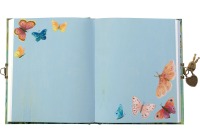 Butterfly Ball Lockable Notebook 6