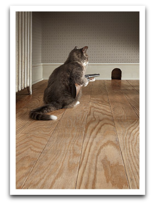 Cat With Shotgun Card - 3081
