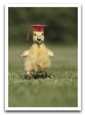 Duckling Grad Card - 3615
