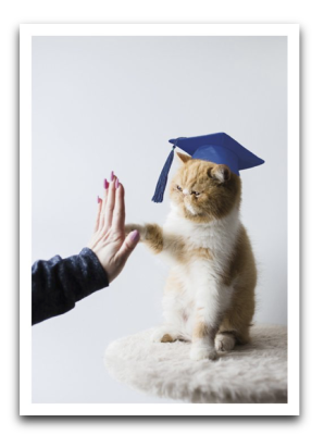 Cat Grad Card - 3618