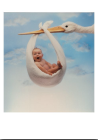 Stork and Baby Card - 500