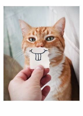 Cat Teeth Card - 3505