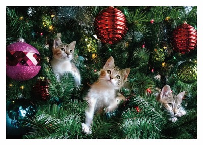 Kittens in Xmas Tree Card - 9777