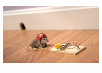 Mouse and Helmet Card - 1954