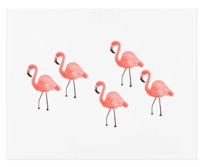 Flamingo - VE3